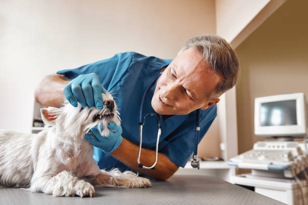Best Emergency Dental Surgery in Agler Estates, FL